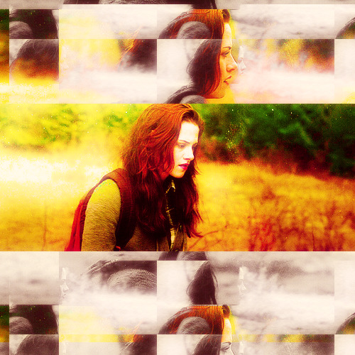 
When Bella arrives at the meadow, the meadow looks nothing like it did the day she watched her beloved Edward sparkle in the sun.
