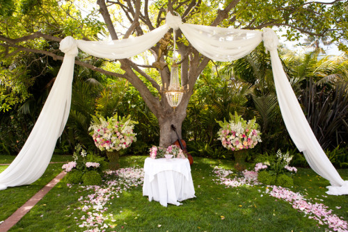 Romantic outdoor wedding altar 