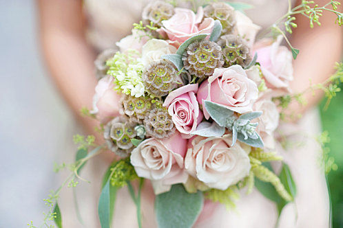 ♕Meet the Princess!♕ on we heart it / visual bookmark #16610702 (flowers,roses,pink)