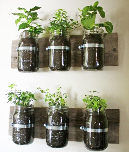 Kitchen herb garden.

Deffinatly doing something like this in my future home