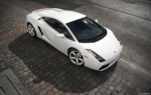 White Gallardo by Jacco Wilbrink on Flickr Posted 4 months ago 60 notes