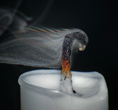 photojojo:  Well worth the effort!  freshphotons:  “Smoke resolved into its component droplets of wax, with zones of refraction making rainbows on the upper edge.Took me about 25 tries to get everything right.”  