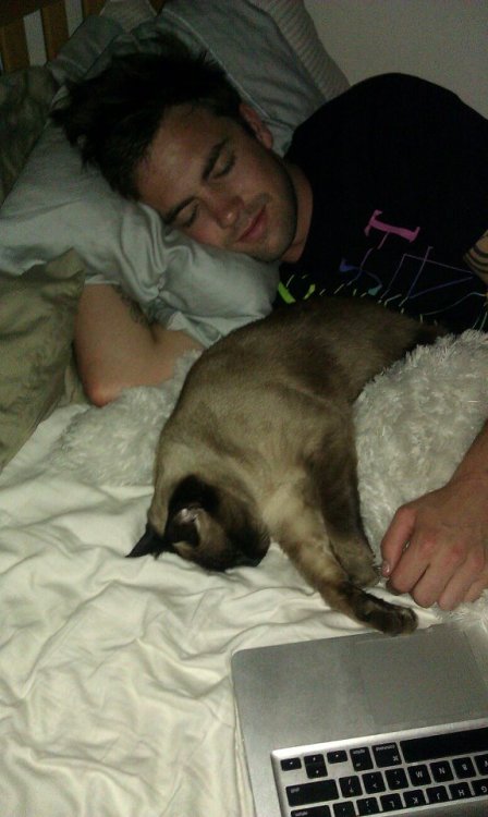 this is my boyfriend&#8217;s brother snuggled up with our siamese, pagoda.-ben