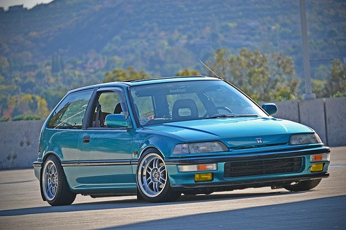 My Ef hatch named Ariel Posted 4 months ago 27 notes
