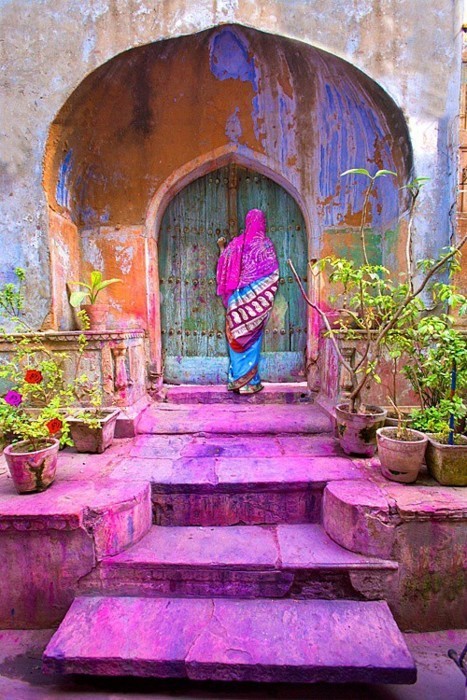 hiscinnamongirl:

She waits…
LOVE THIS PICTURE AMAZING&#160;!!!


just the color alone is beautiful.