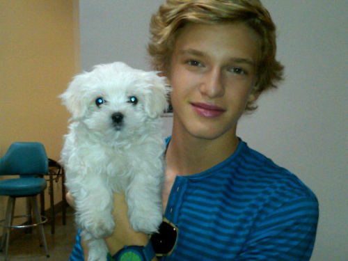 Cody and Buddy Tagged puppies boys with dogs Cody Simpson 