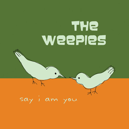 the weepies gotta have you