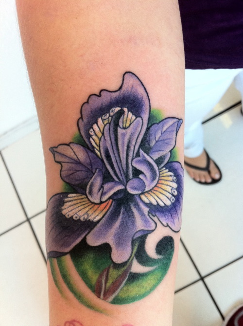 Iris Flower Represents New beginnings According to Greek Mythology 