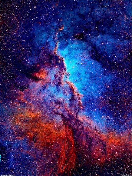 thescienceofrealities:

Shaping NGC 6188 “Dark shapes with bright edges winging their way through dusty NGC 6188 are tens of light-years long. The emission nebula is found near the edge of an otherwise dark large molecular cloud in the southern constellation Ara, about 4,000 light-years away. Formed in that region only a few million years ago, the massive young stars of the embedded Ara OB1 association sculpt the fantastic shapes and power the nebular glow with stellar winds and intense ultraviolet radiation. The recent star formation itself was likely triggered by winds and supernova explosions, from previous generations of massive stars, that swept up and compressed the molecular gas. A false-color Hubble palette was used to create this sharp close-up image and shows emission from sulfur, hydrogen, and oxygen atoms in red, green, and blue hues. At the estimated distance of NGC 6188, the picture spans about 200 light-years.”


 Source: Milky way scientistsCopyright: Piotrek Sadowski
