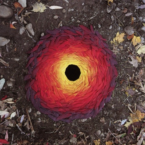 i-m-a-ge:

cavetocanvas:

Andy Goldsworthy, Sumach leaves / laid around a hole, 1998

Andy Goldsworthy is kinda the shit when it comes to Earth Art.
True Story.
