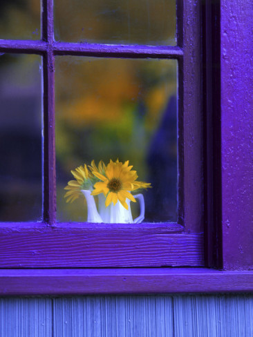 thehappinessofliving:

Window with Sunflowers in Vase by Steve Terrill
Click Here to Follow My Blog for More Beautiful & Inspirational Pics
