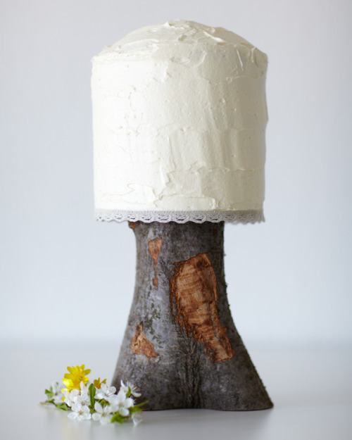 southernsara via DIY Simple Modern Wedding Cake Craftzinecom blog