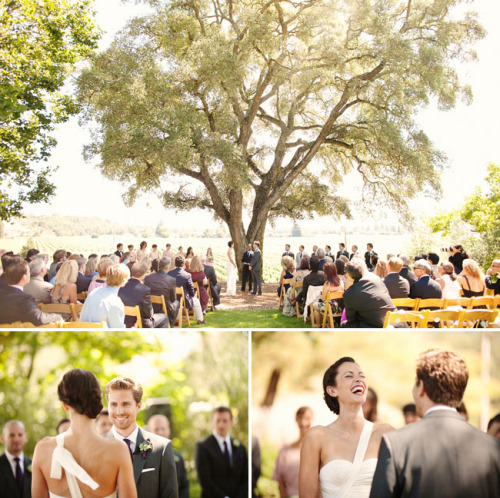I really fancy the idea of using a giant old tree as a ceremony backdrop