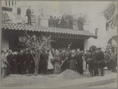 todaysdocument:

Happy Arbor Day!

President Theodore Roosevelt replanting a Bahia tree originally planted in 1874 in Riverside, California., ca. 1904

Another product of yesterday’s Take your Child to Work Day at the National Archives, our 8-year-old junior curator has this to say for his choice:

“I just thought it looked cool because of Teddy Roosevelt and all the people.”

What kind of tree would you like to plant today?
