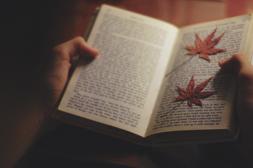 Books ♥