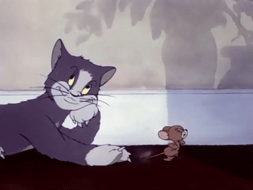 The Ultimate Question: Tom or Jerry? | NeoGAF