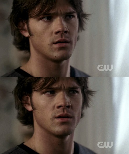 thepadapuppy: i-want-pie: THE MOOSE IS CONFUSED. THE WRINKLE IN HIS FOREHEAD WILL BE THE DEATH OF ME. 