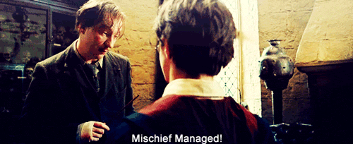  So now I’ll say goodbye, Harry. I feel sure we’ll meet again sometime. Until then… Mischief Managed! 