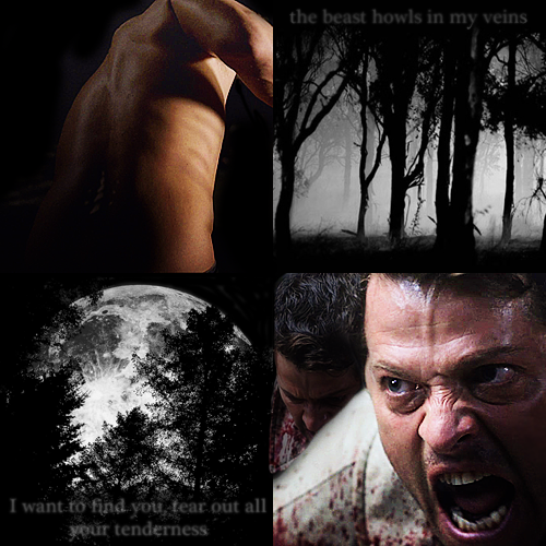 jenny-cockles: AU Meme: Werewolf Dean/Cas “I can’t keep waking up next to you in the middle of freakin’ nowhere woods, man. You’ve seen me naked too many times.. we gotta find a cure.” Requested by: Anonymous 
