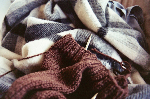 24polarbears: Holiday knitting by idathue on Flickr. 