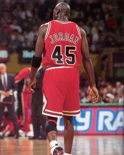 1995 Chicago Bulls #45