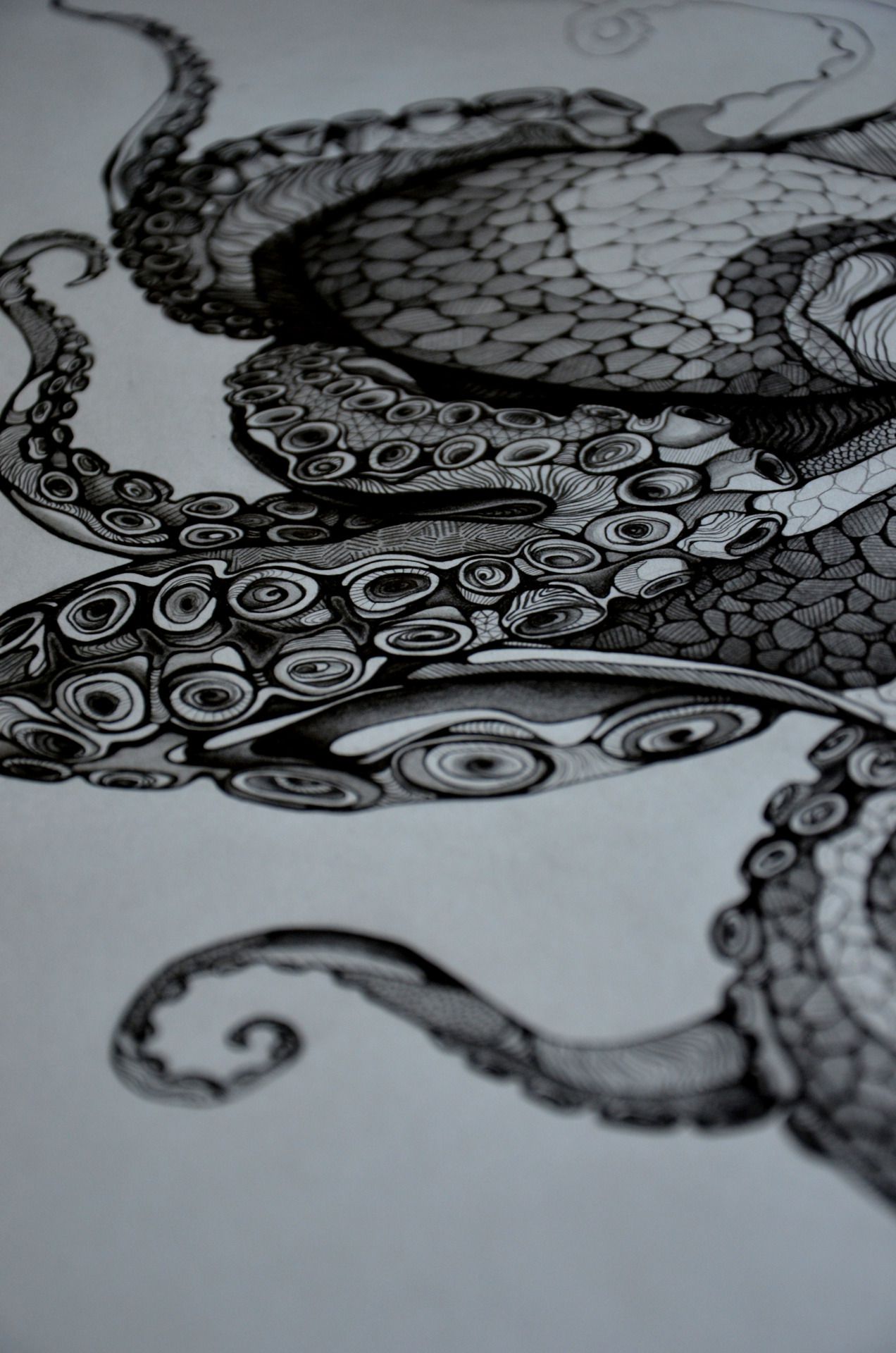 Part of a pretty octopus I started recently.Head over to sarsqr.tumblr.com to see some more, or come find me on instagram (sarsar) :)