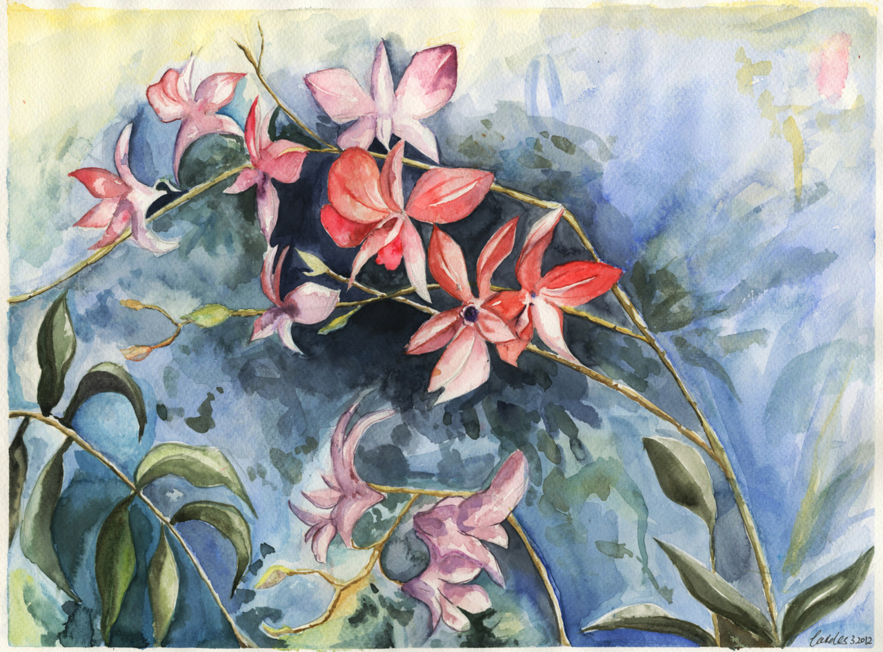 Watercolour, Orchids Does a lot of different styled arts too :D www.iceicles.tumblr.com